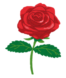 薔薇の花