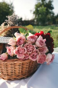 薔薇の花