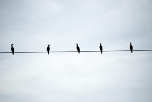 あと5人