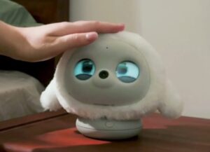 ロペット