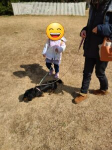 世界の名犬牧場でお散歩