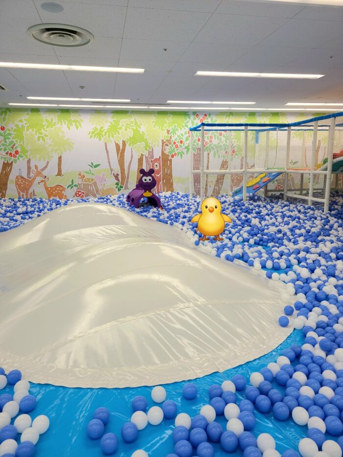 広い!ボールプールとふわふわドーム