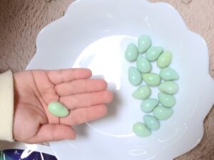 イトピスの実のサイズ感