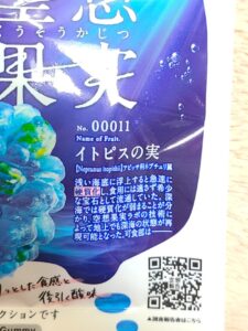 イトピスの実の世界観