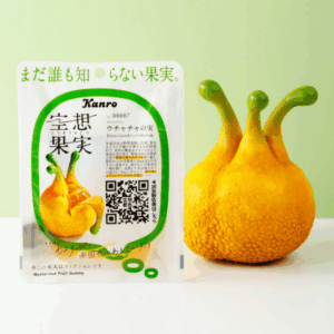 空想果実シリーズ第2弾ウチャチャの実